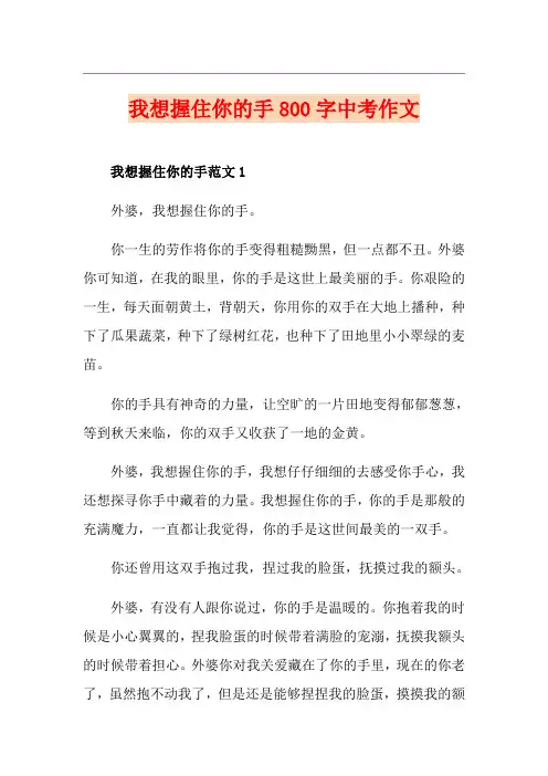我想握住你的手800字中考作文