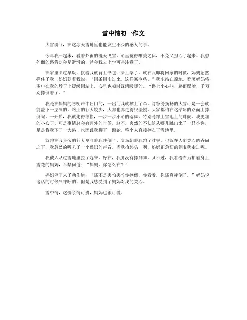 雪中情初一作文