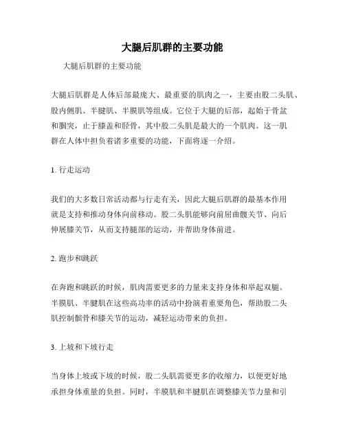 大腿后肌群的主要功能