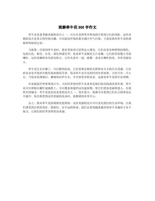 观察牵牛花500字作文