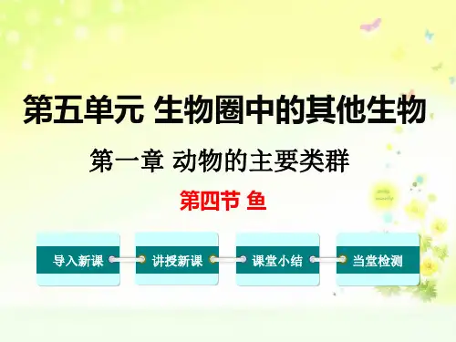 八上生物第五单元第一章动物的主要类群鱼课件