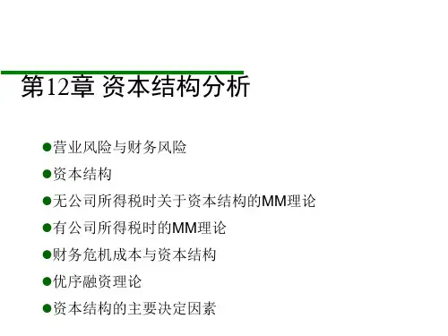 资本结构分析  (ppt 49张)
