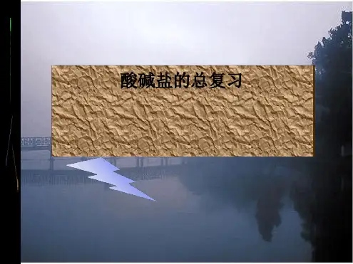 中考化学专题复习酸碱盐总复习课件