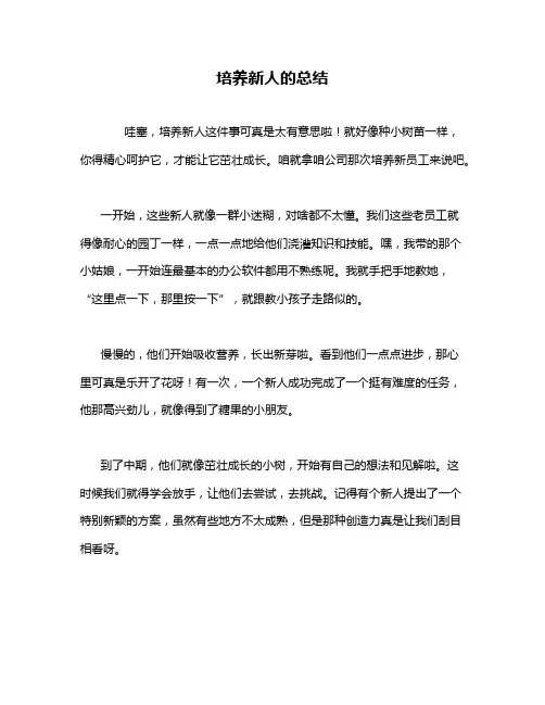 培养新人的总结