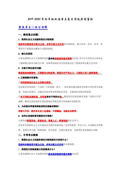 2019-2020年九年级政治考点复习实现共同富裕