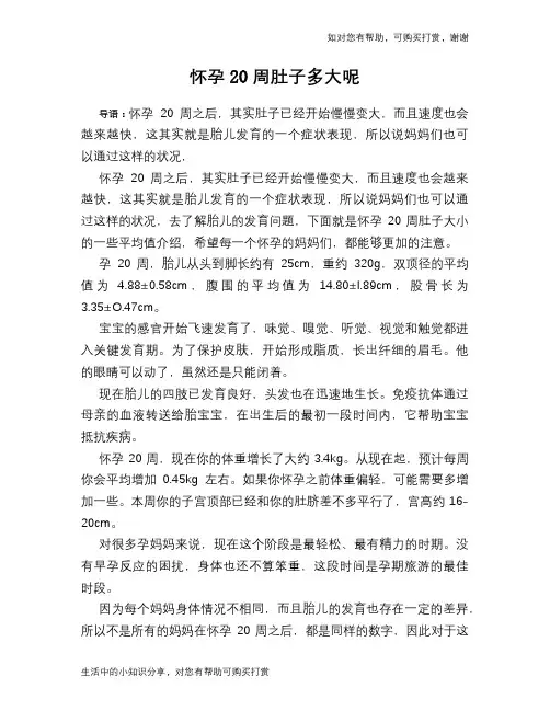 怀孕20周肚子多大呢