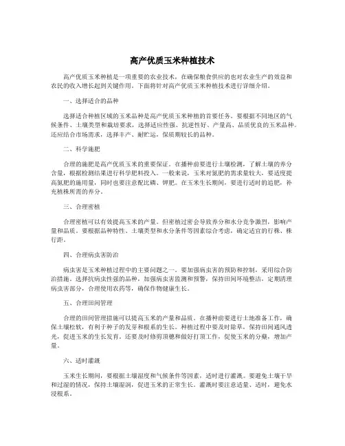 高产优质玉米种植技术