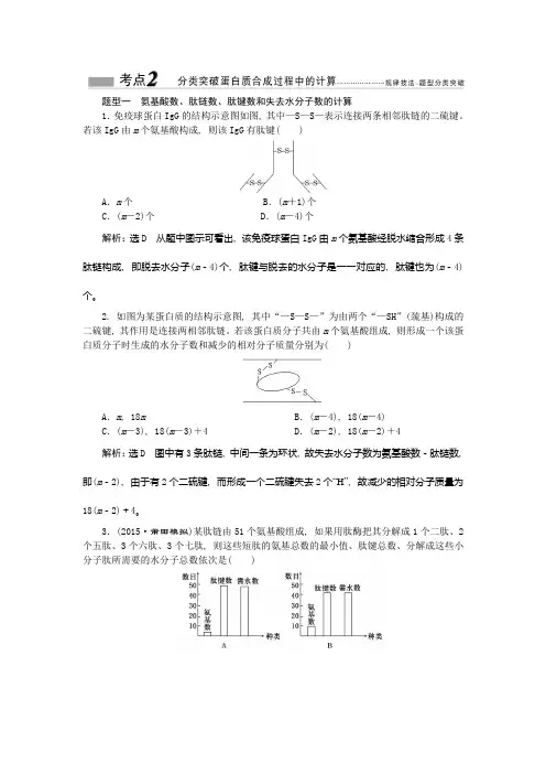 蛋白质合成过程中的计算