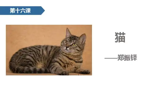 人教版语文七年级上册16 猫 PPT课件