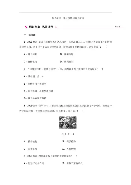 人教版生物七年级上册(课件)第1章 生物圈中有哪些绿色植物 2.2裸子植物和被子植物