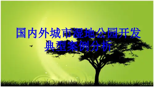 国内外城湿地公园开发典型案例分析论述内容湿地的概念湿地公园