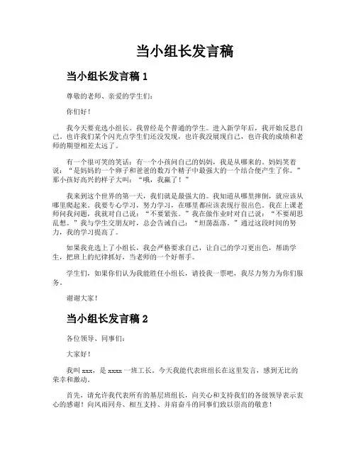 当小组长发言稿