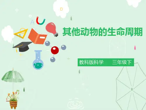 《其他动物的生命周期》动物的生命周期PPT下载
