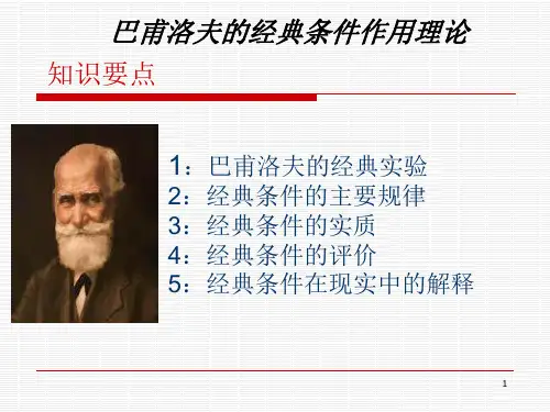 巴浦洛夫的经典条件理论ppt课件