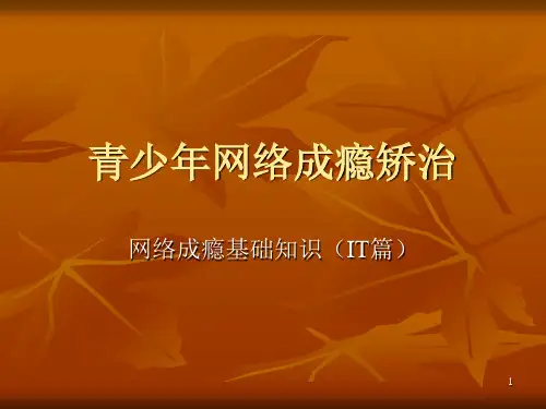 青少年网瘾矫治PPT课件