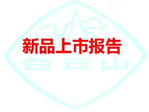 新品上市报告ppt课件