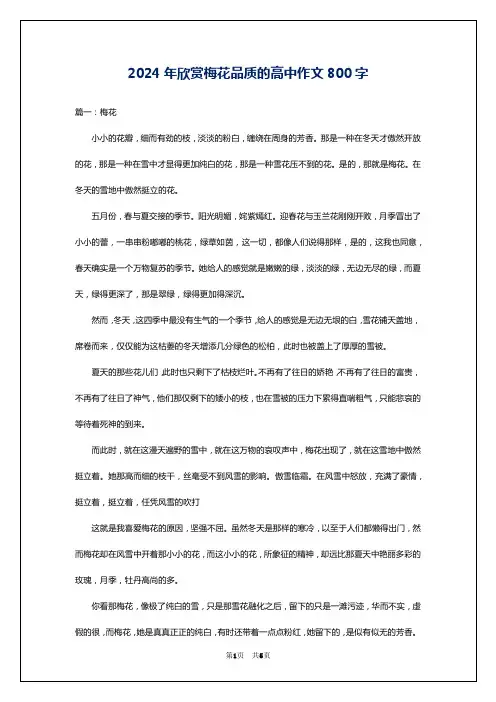 2024年欣赏梅花品质的高中作文800字