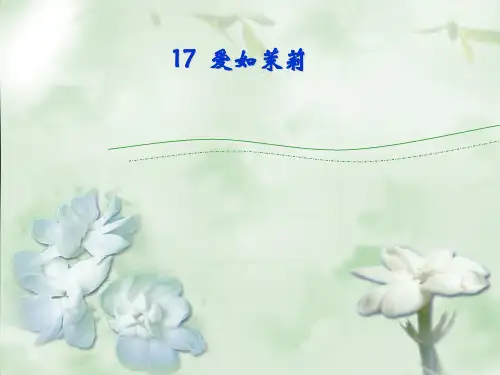 《爱如茉莉》PPT课件3