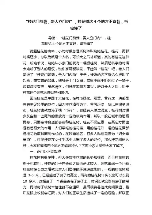 “桂花门前栽，贵人立门内”，桂花树这4个地方不宜栽，看完懂了