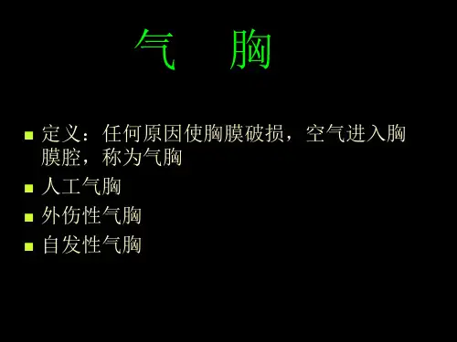 气胸图