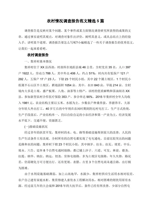 农村情况调查报告范文精选5篇