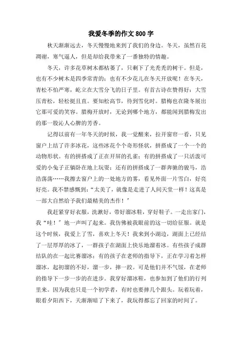 我爱冬季的作文800字
