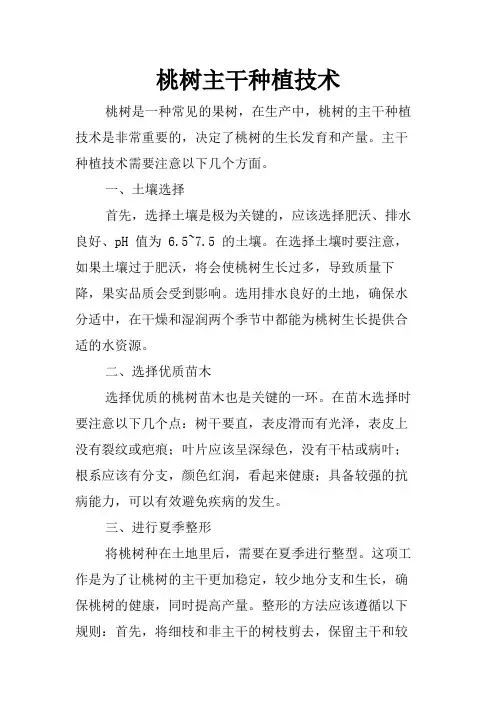 桃树主干种植技术