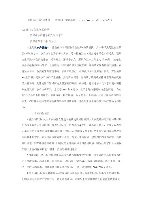 网箱养殖翘嘴红鲌小瓜虫病的防治技术
