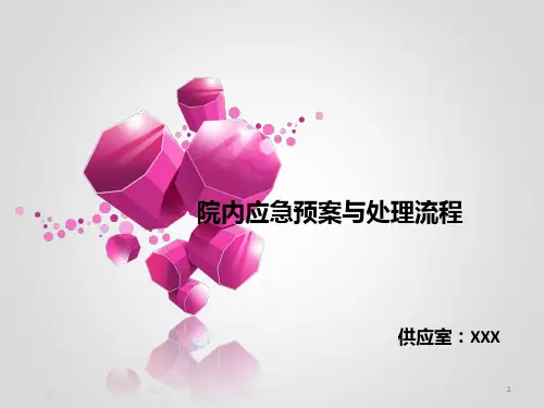 医院内应急预案与处理流程PPT课件