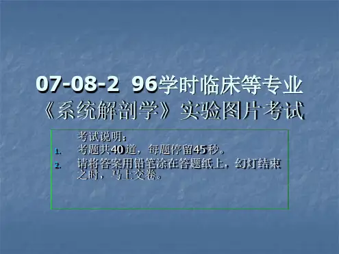 系解实验1 系统解剖学实验图片考试