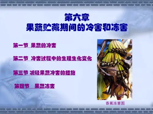 第六章果蔬贮藏期间的冷害和冻害