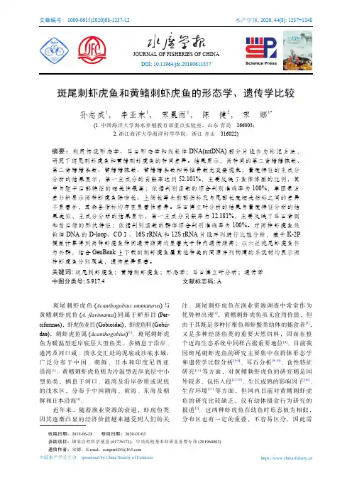斑尾刺虾虎鱼和黄鳍刺虾虎鱼的形态学、 遗传学比较