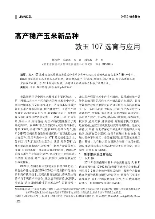 高产稳产玉米新品种敦玉107选育与应用
