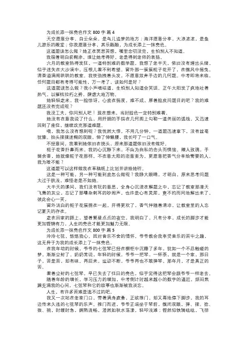 为成长添一抹亮色作文二
