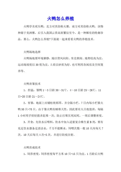 火鸭怎么养殖