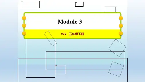 2021春外研版五年级英语下册 Module 3 单元习题课件