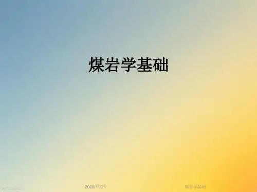 煤岩学基础