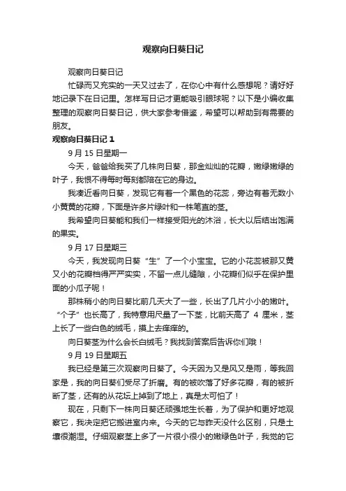 观察向日葵日记