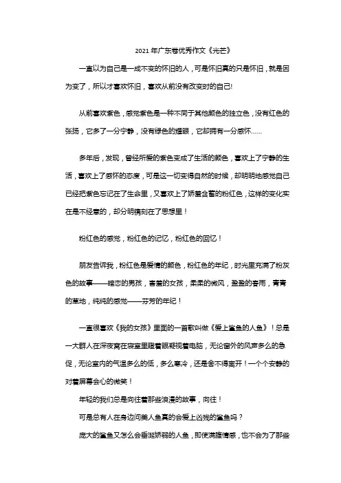 2021年广东卷优秀作文《光芒》
