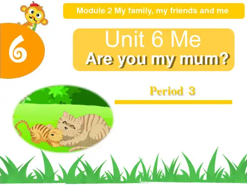 上海教育版英语三年级上册unit 6《me》(第3课时)ppt课件