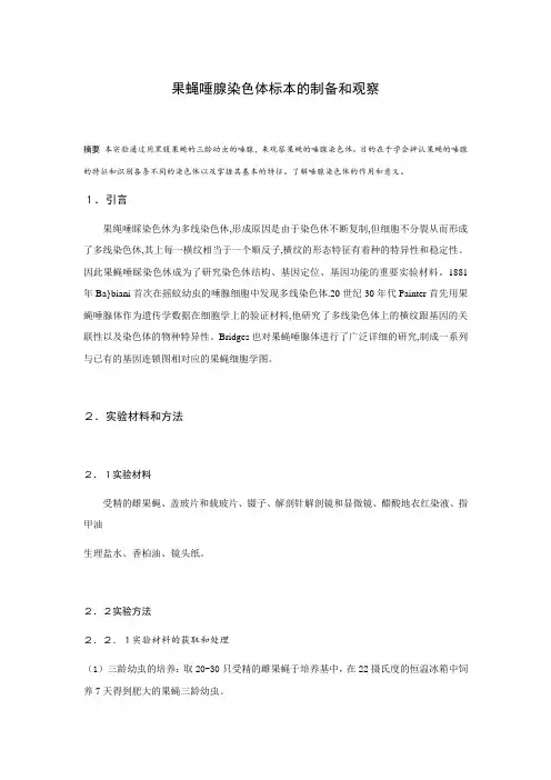 果蝇唾腺染色体标本的制备及观察