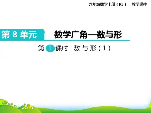 人教版六年级数学上册第1课时 数与形(1)[1]-课件