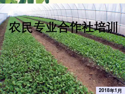 农业专业合作社培训