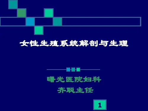 女性生殖系统解剖与生理