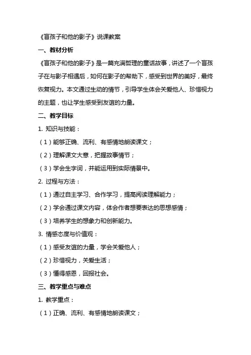 《盲孩子和他的影子》说课教案初中语文教案