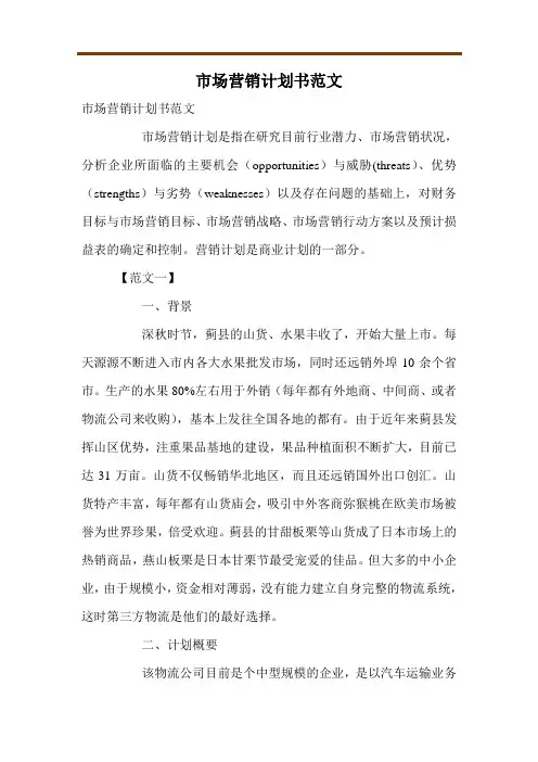市场营销计划书范文