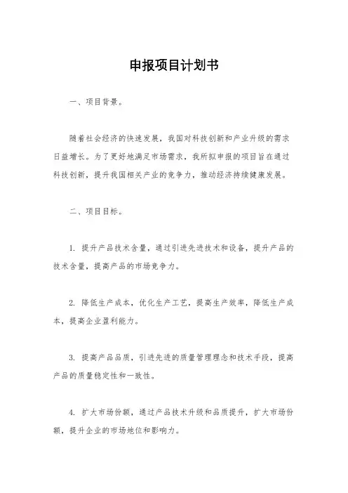 申报项目计划书