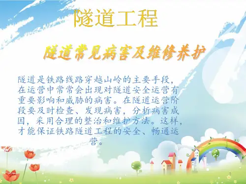 隧道常见病害及维修养护ppt课件