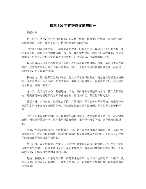 初三800字优秀作文梦醒时分