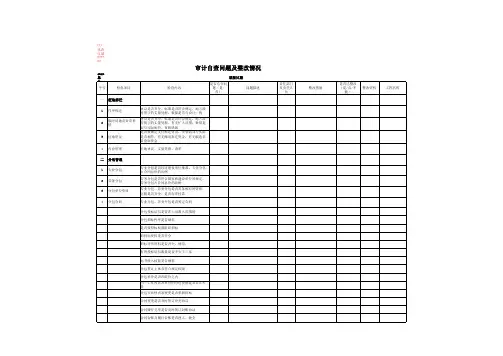 审计自查问题及整改工作表